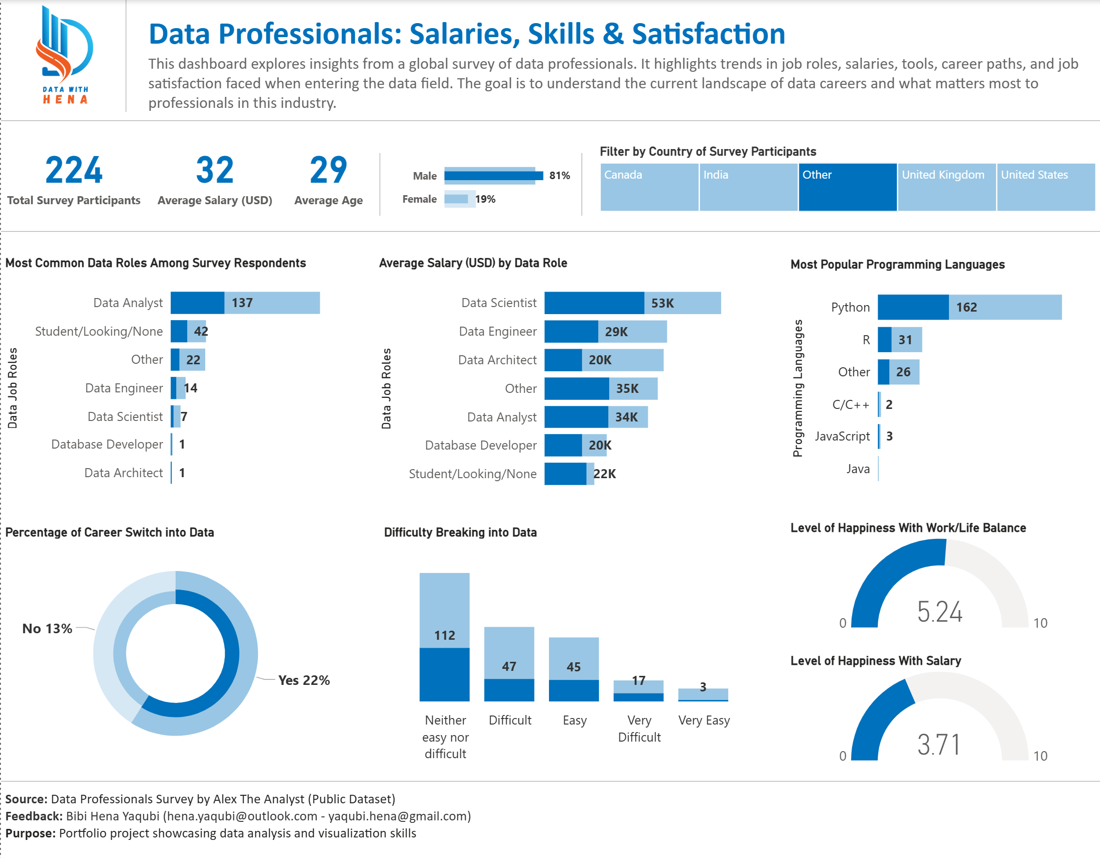 Data Professionals Survey Dashboard - View 5